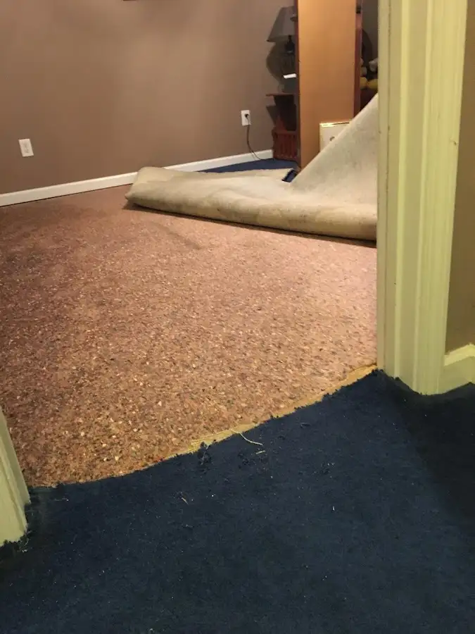 Carpet pad removal revealing water damage during Water Mitigation Services in Logansport