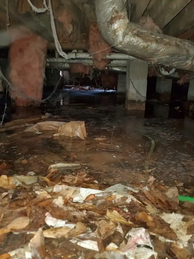 Crawl space flood assessment for Leak Detection & Repair in Logansport